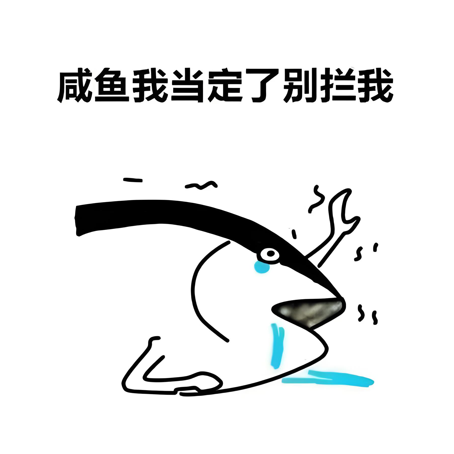 不乐观大咸鱼